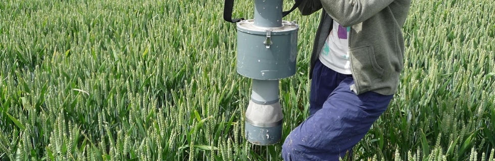 Irish Grey Partridge Conservation Trust