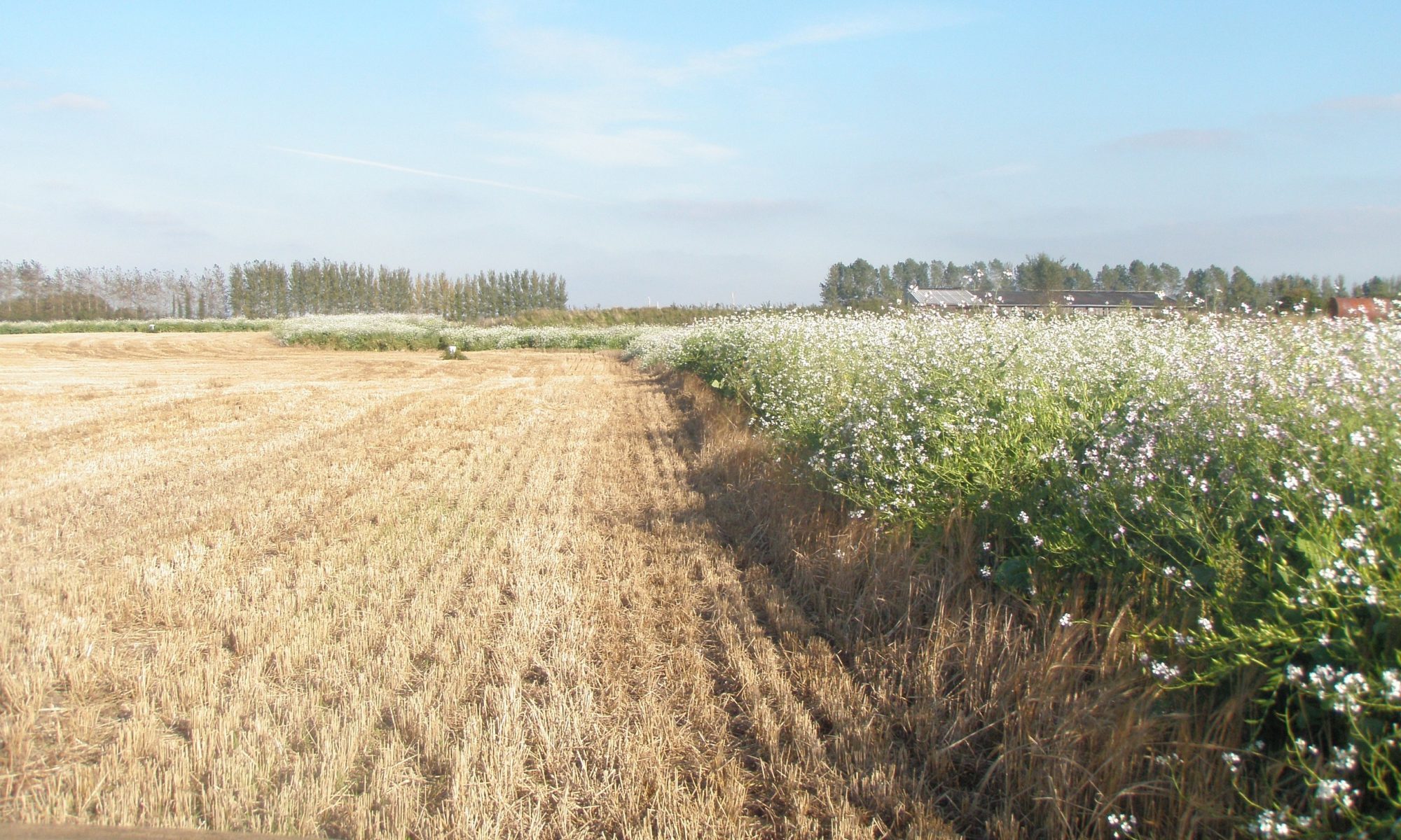 Irish Grey Partridge Conservation Trust